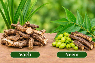 Vach & Neem: