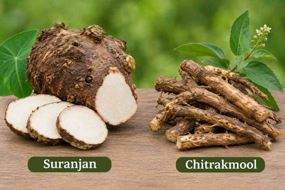 Suranjan & Chitrakmool: